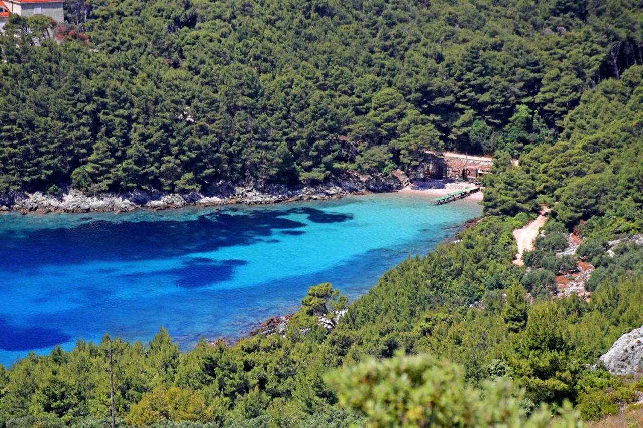Apartments By The Sea Luka Dubrava, Peljesac - 284 Janjina Exterior foto