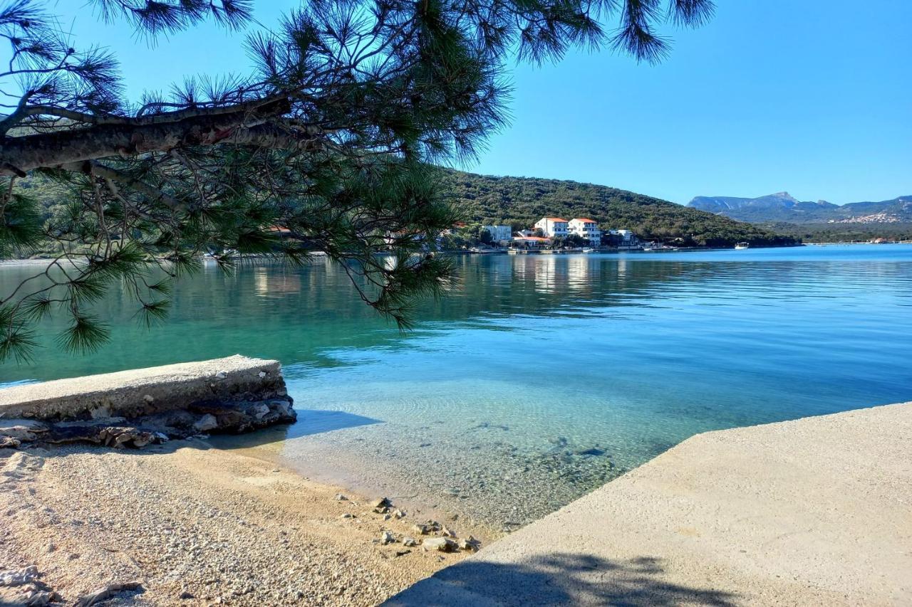 Apartments By The Sea Luka Dubrava, Peljesac - 284 Janjina Exterior foto